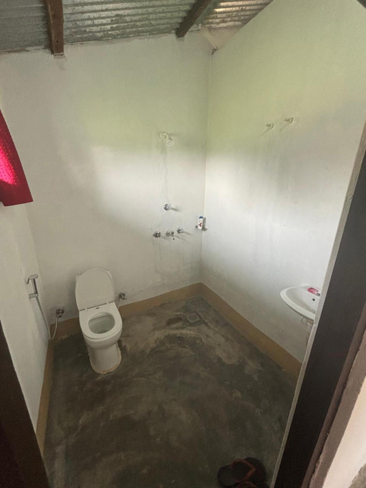 Nanu'S Bardiya Homestay エクステリア 写真